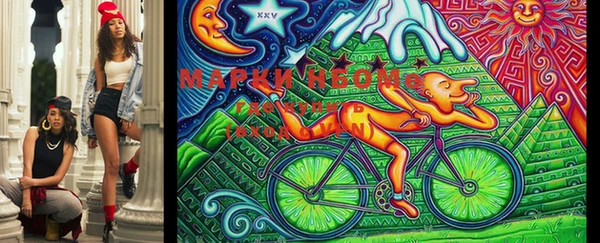 молекула духа Богородицк
