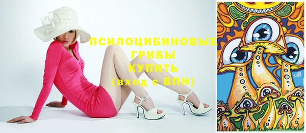 молекула духа Богородицк