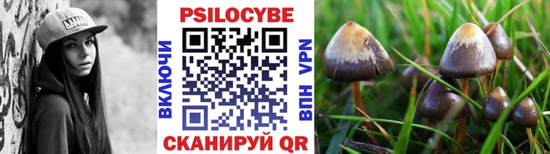 Галлюциногенные грибы мухоморы  Светлогорск 