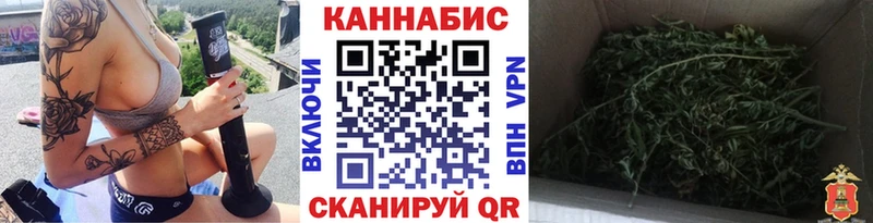 Марихуана сатива  Светлогорск 